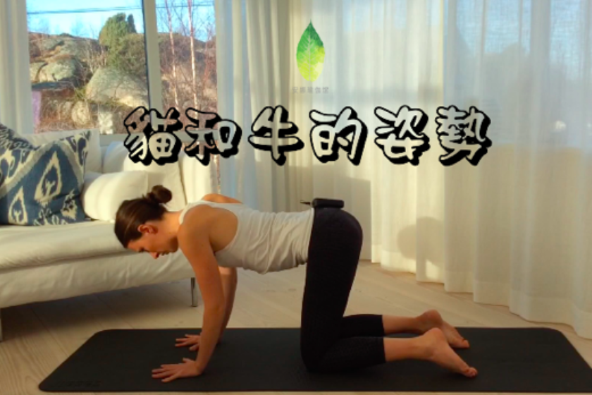 安娜- yoga asia 亚洲瑜伽